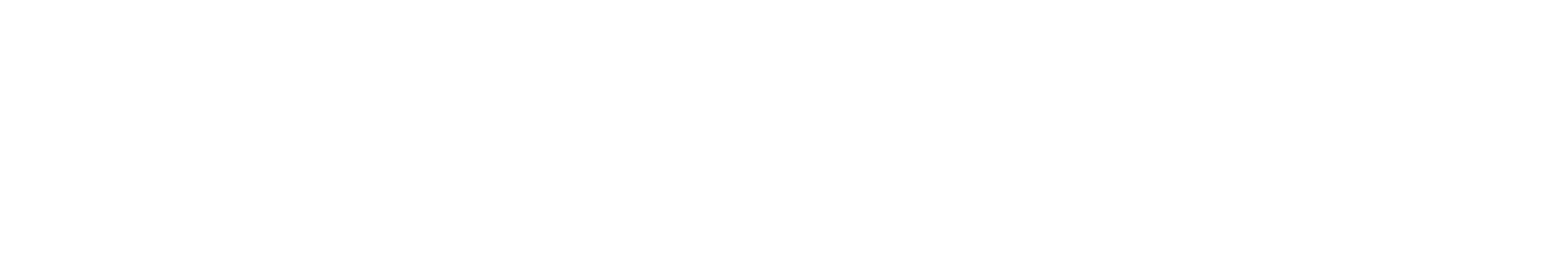 Partner 2