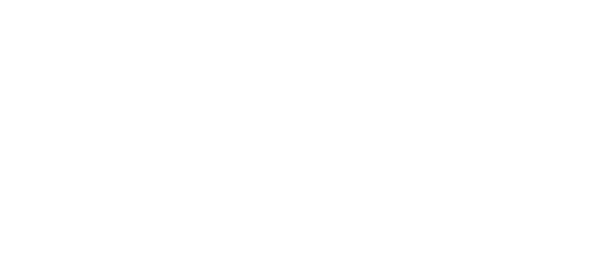 Partner 3